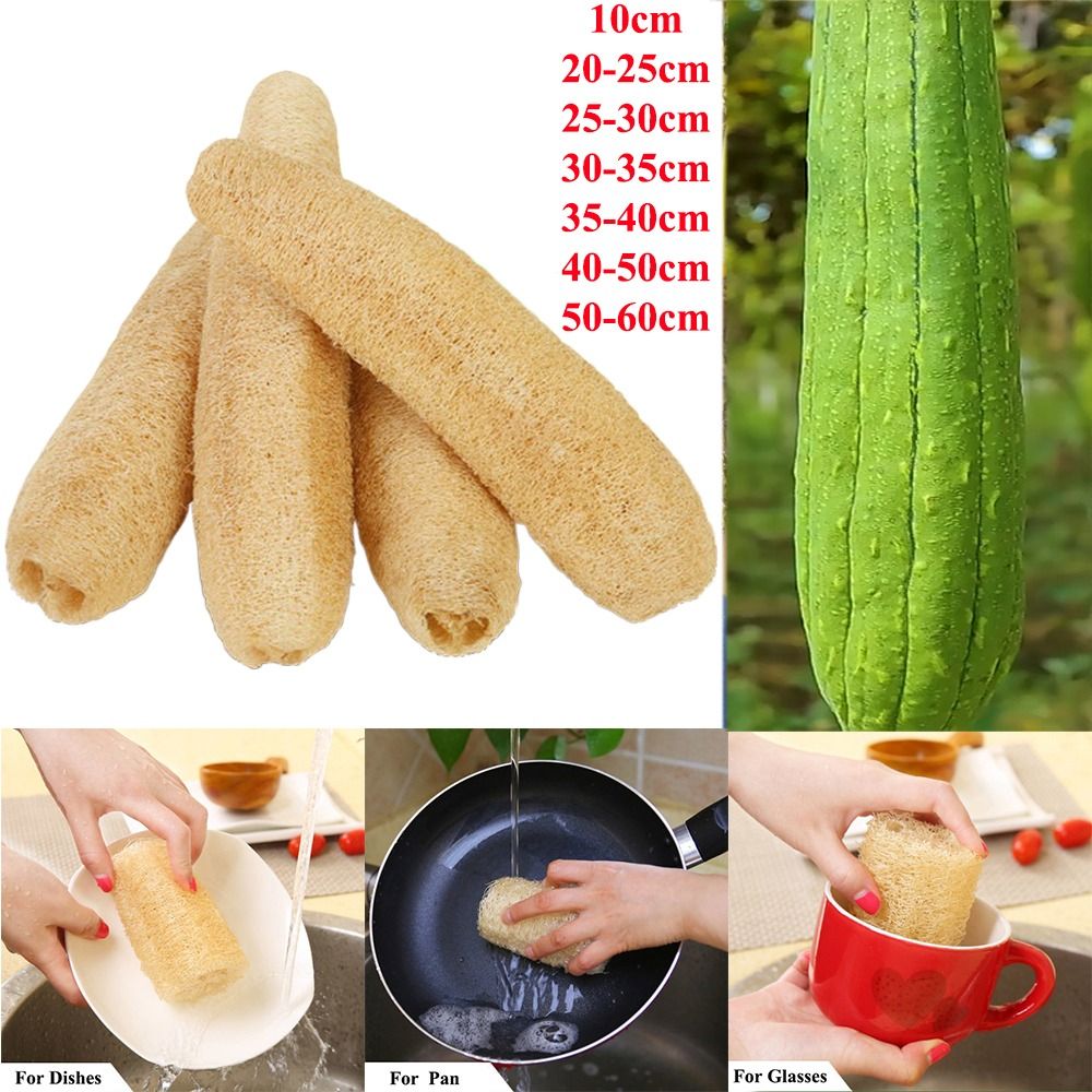 Body Loofah Natural - Natürlicher Luffa-Schwamm, Langer Ökologischer Pflanzenschwamm, Spülschwamm