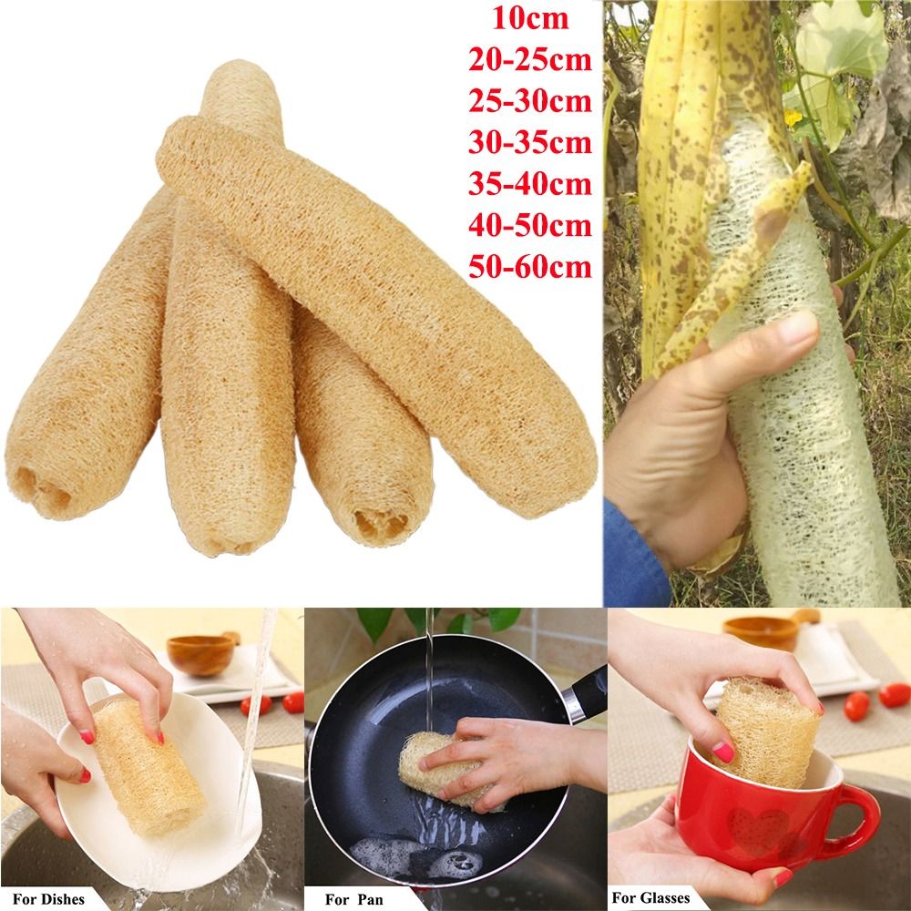 Natürlicher Luffa-Schwamm, Ant – Body Loofah Natural Bewertung und Preis