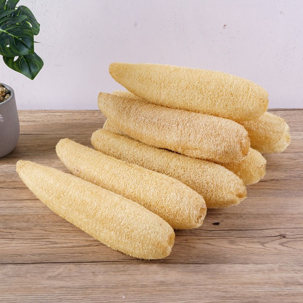 Natürlicher Luffa-Schwamm, Ant – Body Loofah Natural Bewertung und Preis