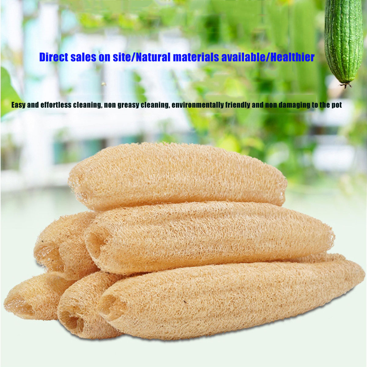1 Stück natürlicher Luffa-Schw – Body Loofah Natural Bewertung und Preis