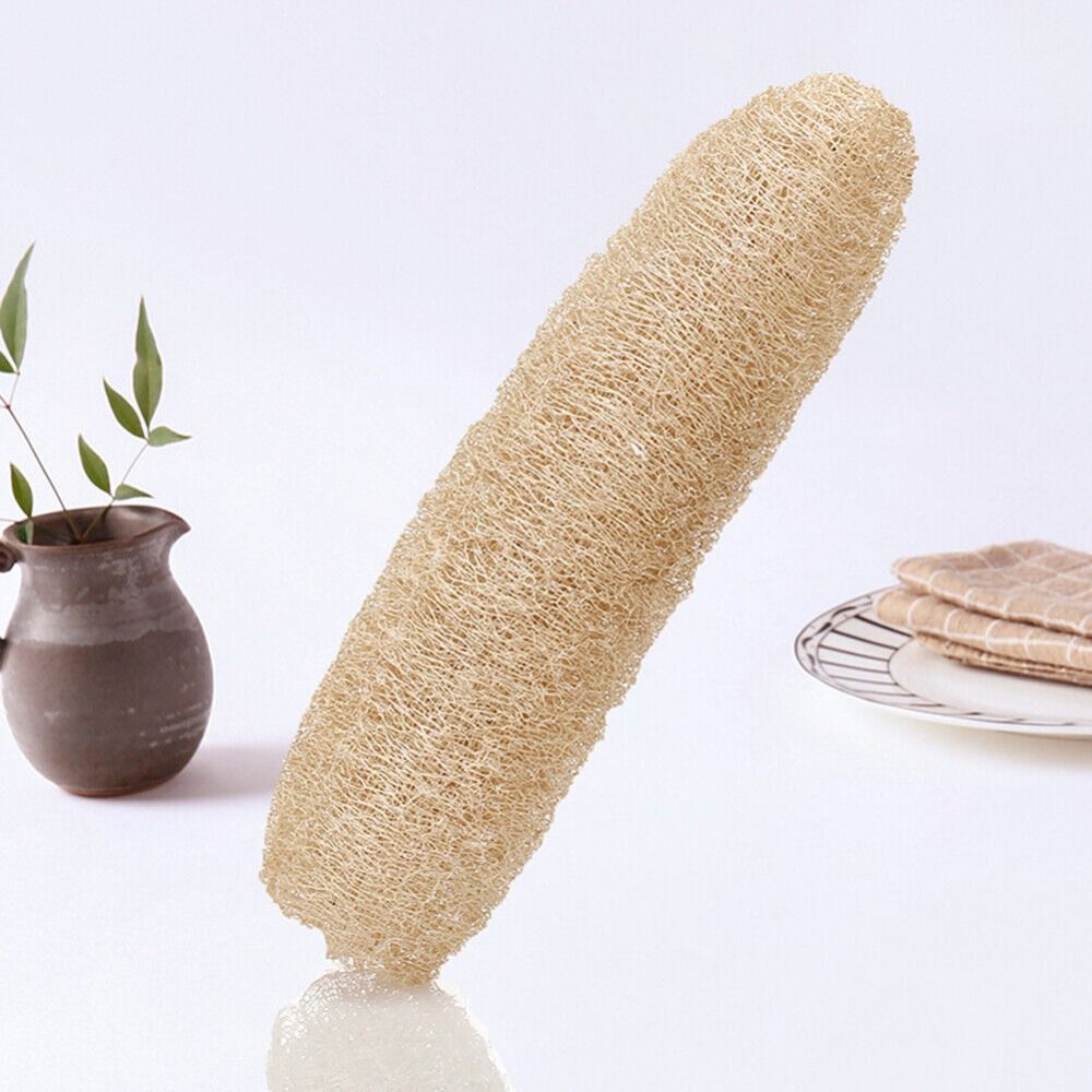 Natürlicher Luffa-Schwamm, Lan – Body Loofah Natural Bewertung und Preis