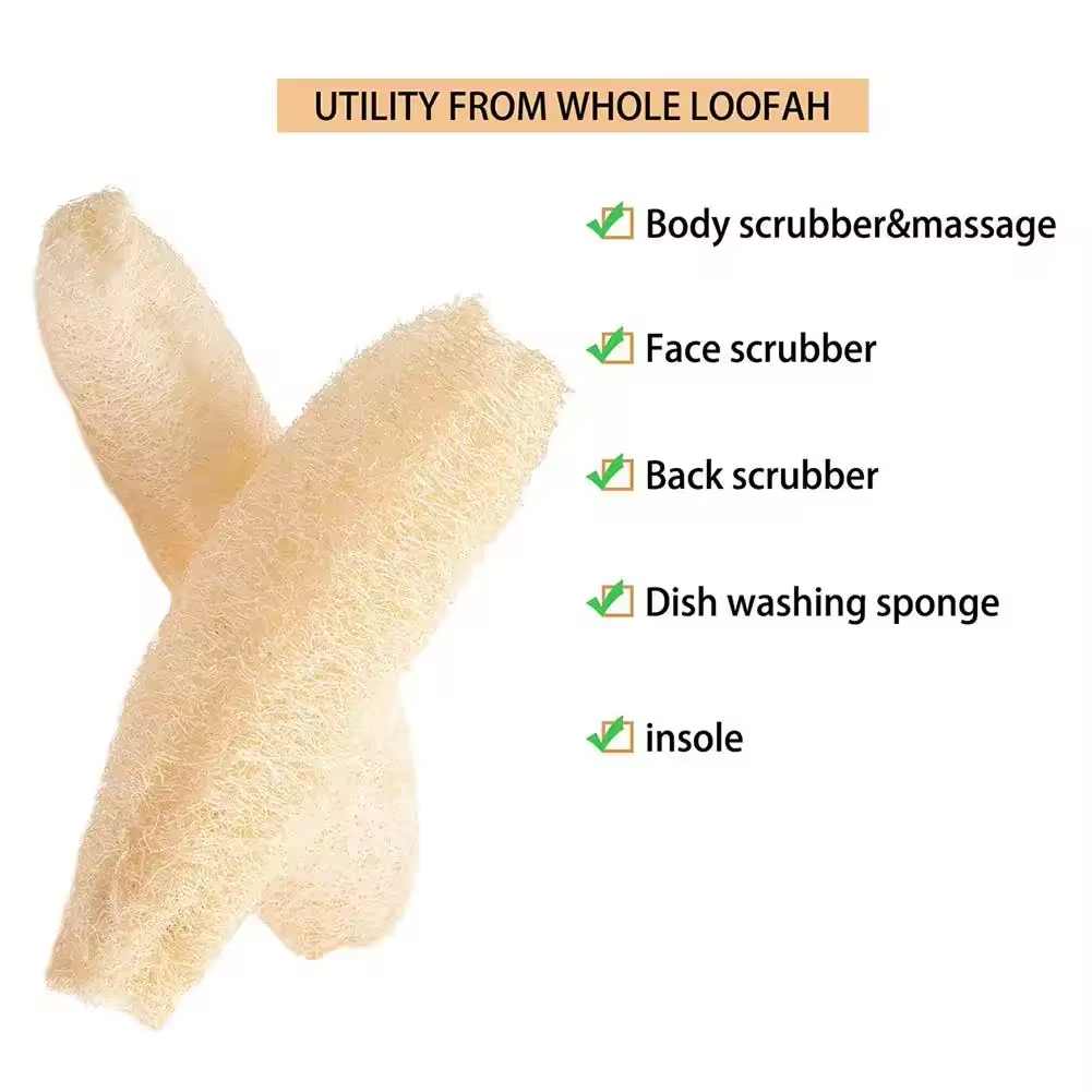 Natürlicher Luffa-Schwamm, Meh – Body Loofah Natural Bewertung und Preis