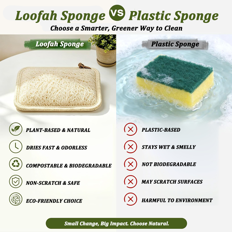 Natürlicher Luffa-Schwamm, wie – Body Loofah Natural Bewertung und Preis