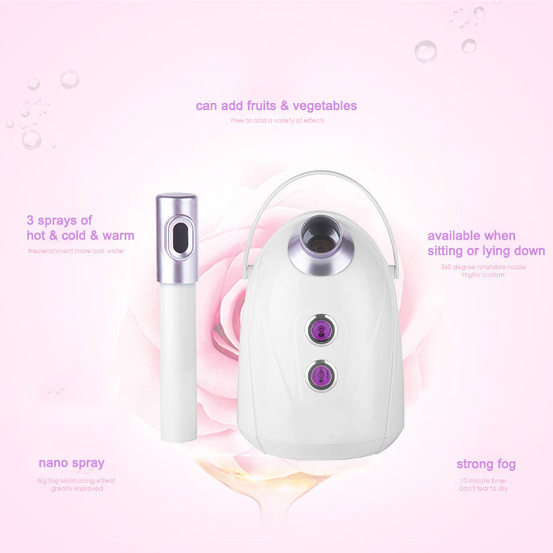 Gesichtsdampfer für den Heimge – Facial Steamer Nano Bewertung und Preis