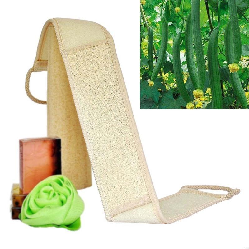 28ta 70 natürliche Loofah Rück – Body Loofah Natural Bewertung und Preis